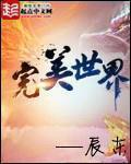 完美世界教主级别是什么境界