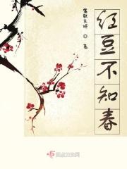 相思不如不相识