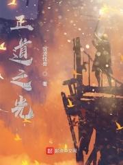 正道之光是什么