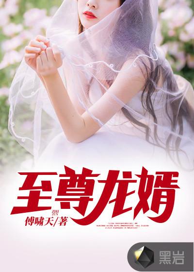 至尊龙婿TXT免费全集