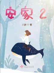 安家22集