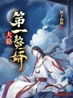 免费完结第一赘婿