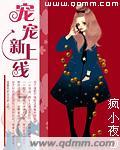 宠宠是什么意思