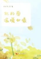 她的爱如星