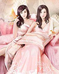 四季百合是杂牌还是名牌