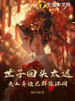 世子夫人守则免费阅读