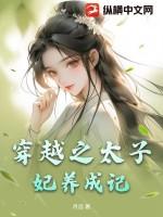 穿越之太子妃谋略