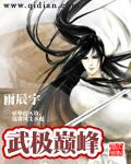 武极巅峰成龙
