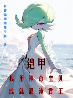 神奇宝贝之混沌传说刘小鑫