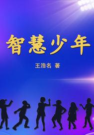 智慧少年什么意思