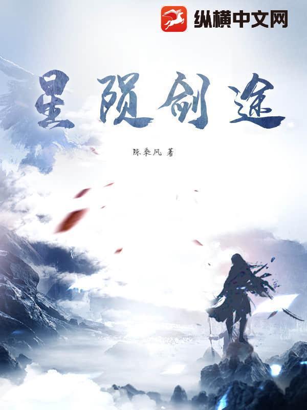 星陨传说流派