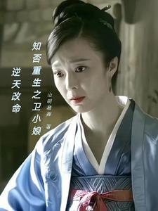 穿越知否卫小娘的文推荐