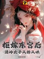 拒嫁豪门东宫老爷什么身份