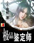 极品鉴定师苍海一笑