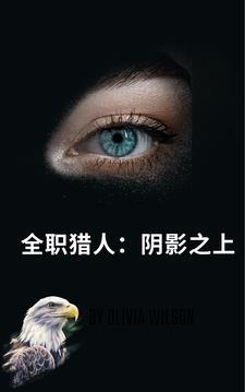 全职猎人影响