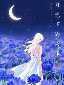 月光下的时光