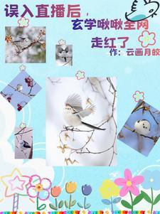 小金乌