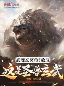这是圣兽玄武免费