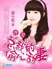 总裁的嗜心新娘