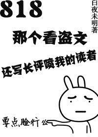 盗文txt