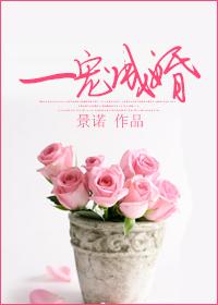 一宠成婚顾烟陆皓谦续写