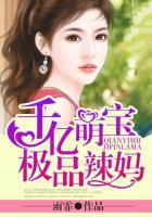 千亿萌宝妈咪请签