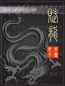 赋龙吟酒19990元图片