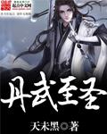 丹武至尊无弹窗