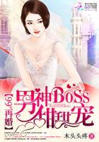 再婚重生全文阅读