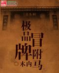 极品驸马 顶点