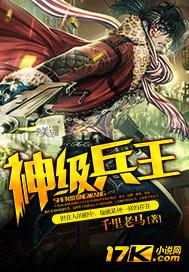 神级兵王系统在哪里看