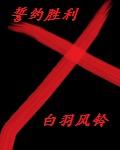 誓约胜利之剑有什么能力