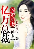 闪婚萌妻宠上瘾