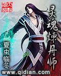 至尊炼丹师