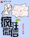 疯狂的微信图片