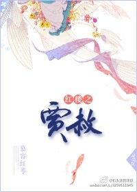 红楼之贾赦外放任将军的