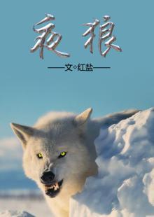 夜狼酒100ml价格