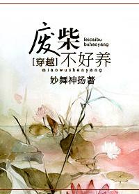 求好看的穿越废柴