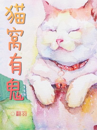 猫窝有什么讲究